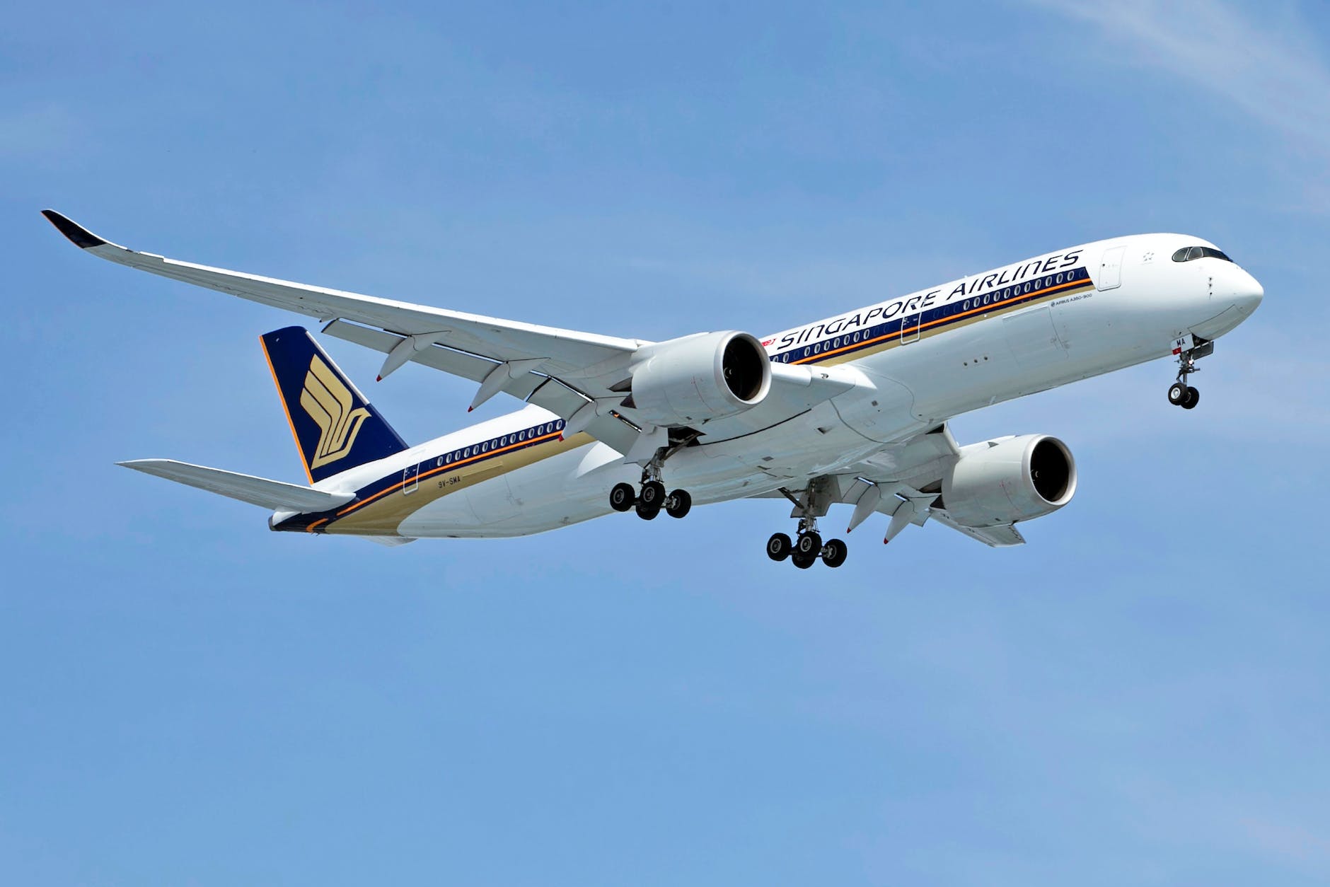 a plane with landing gears